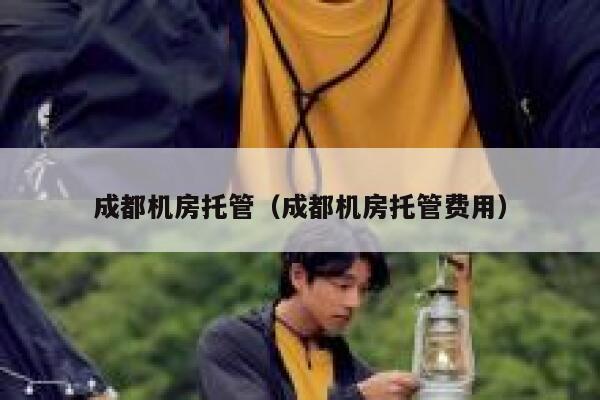 成都机房托管（成都机房托管费用） 第1张