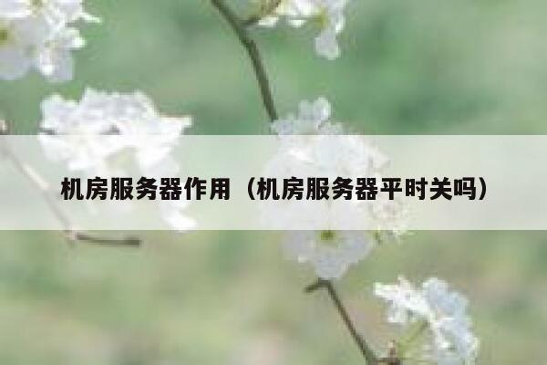 机房服务器作用(机房服务器平时关吗) 第1张 机房服务器作用(机房服务器平时关吗) 第1张