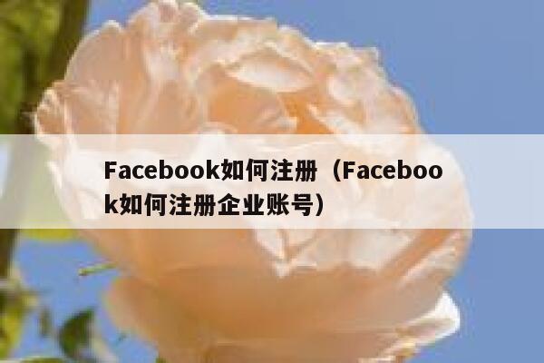Facebook如何注册（Facebook如何注册企业账号） 第1张