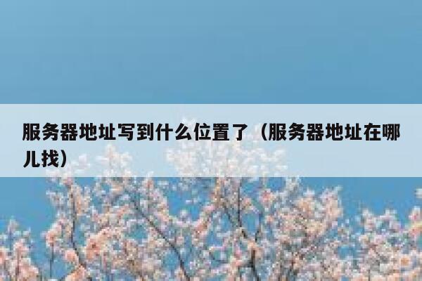服务器地址写到什么位置了(服务器地址在哪儿找) 第1张 服务器地址写到什么位置了(服务器地址在哪儿找) 第1张