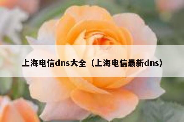 上海电信dns大全（上海电信最新dns） 第1张