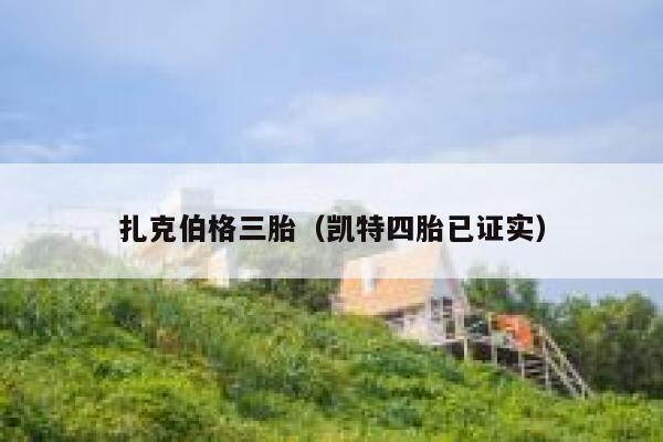 扎克伯格三胎（凯特四胎已证实） 第1张