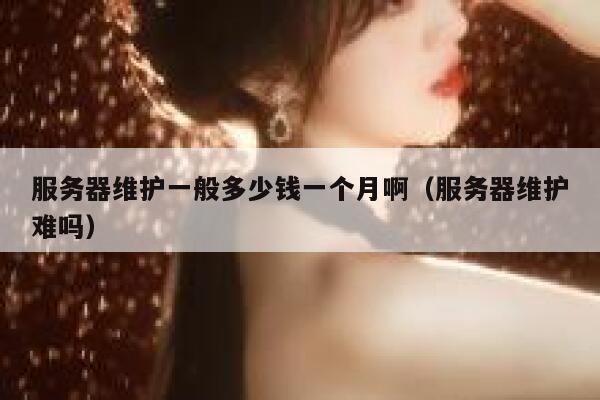 服务器维护一般多少钱一个月啊（服务器维护难吗） 第1张