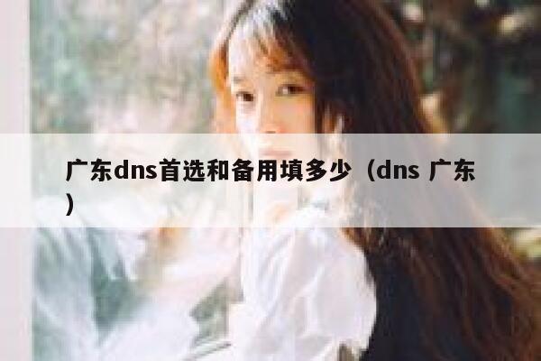 广东dns首选和备用填多少（dns 广东） 第1张