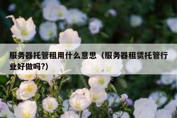 服务器托管租用什么意思（服务器租赁托管行业好做吗?） 第1张