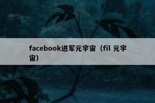 facebook进军元宇宙(fil 元宇宙) 第1张 facebook进军元宇宙(fil 元宇宙) 第1张