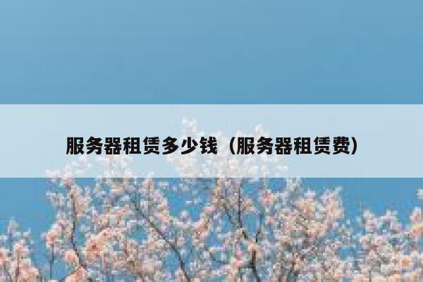 服务器租赁多少钱(服务器租赁费) 第1张 服务器租赁多少钱(服务器租赁费) 第1张