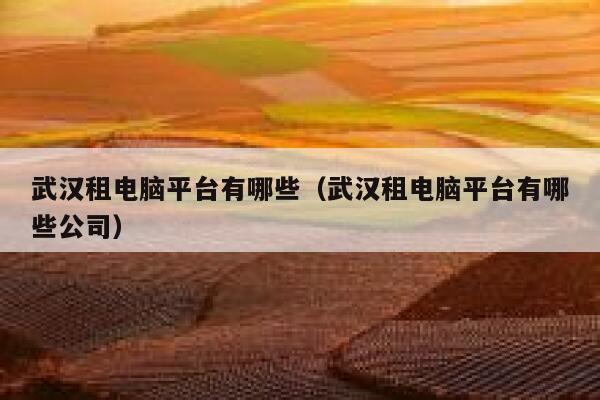 武汉租电脑平台有哪些（武汉租电脑平台有哪些公司） 第1张