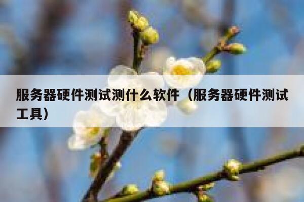 服务器硬件测试测什么软件（服务器硬件测试工具） 第1张