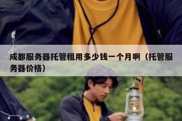 成都服务器托管租用多少钱一个月啊（托管服务器价格） 第1张
