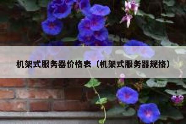 机架式服务器价格表（机架式服务器规格） 第1张