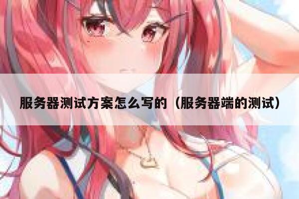 服务器测试方案怎么写的（服务器端的测试） 第1张