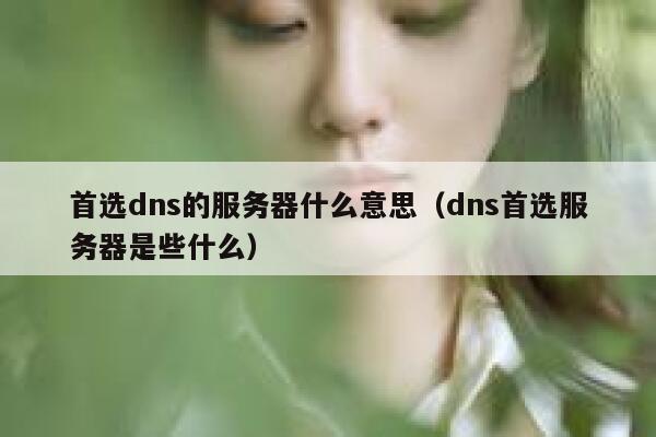 首选dns的服务器什么意思（dns首选服务器是些什么） 第1张