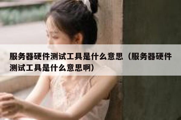 服务器硬件测试工具是什么意思（服务器硬件测试工具是什么意思啊） 第1张