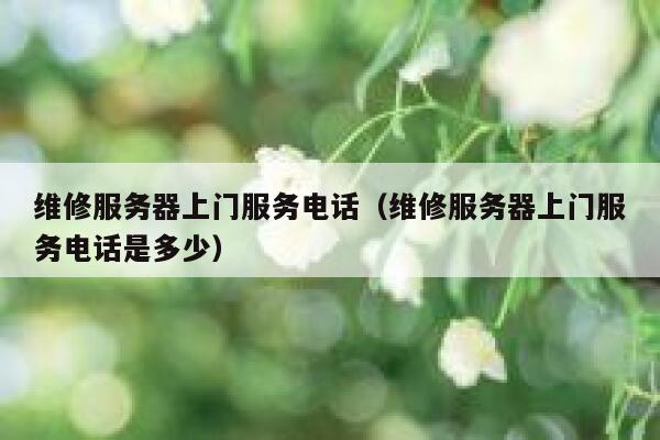 维修服务器上门服务电话（维修服务器上门服务电话是多少） 第1张