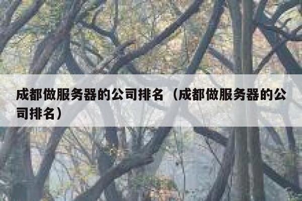 成都做服务器的公司排名(成都做服务器的公司排名) 第1张 成都做服务器的公司排名(成都做服务器的公司排名) 第1张