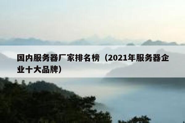 国内服务器厂家排名榜（2021年服务器企业十大品牌） 第1张