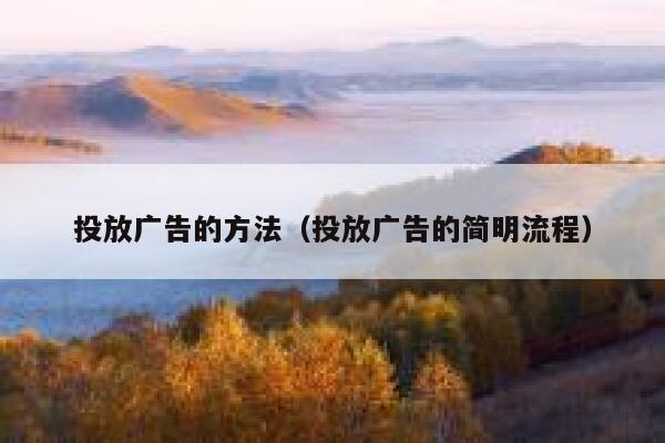 投放广告的方法（投放广告的简明流程） 第1张