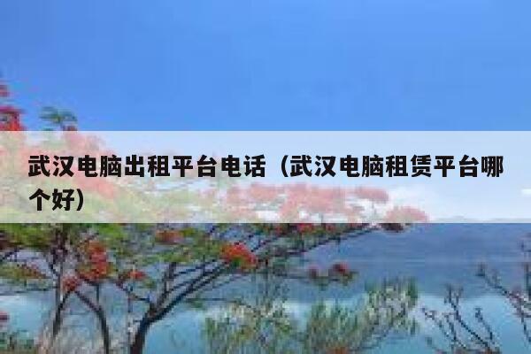 武汉电脑出租平台电话（武汉电脑租赁平台哪个好） 第1张