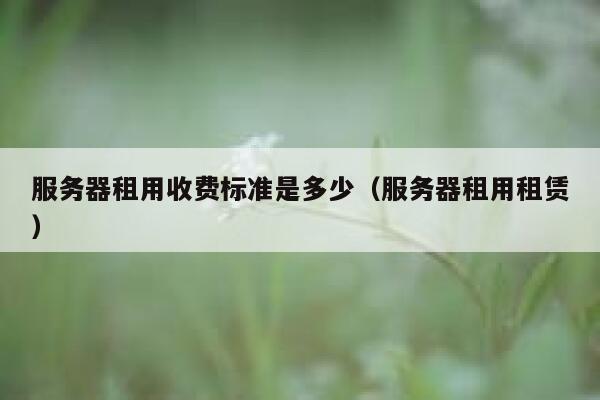 服务器租用收费标准是多少（服务器租用租赁） 第1张