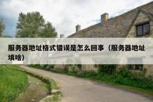服务器地址格式错误是怎么回事（服务器地址填啥） 第1张