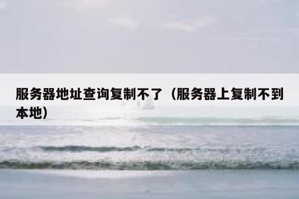 服务器地址查询复制不了(服务器上复制不到本地) 第1张 服务器地址查询复制不了(服务器上复制不到本地) 第1张