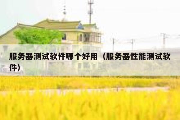 服务器测试软件哪个好用（服务器性能测试软件） 第1张