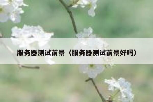 服务器测试前景（服务器测试前景好吗） 第1张
