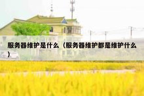 服务器维护是什么（服务器维护都是维护什么） 第1张