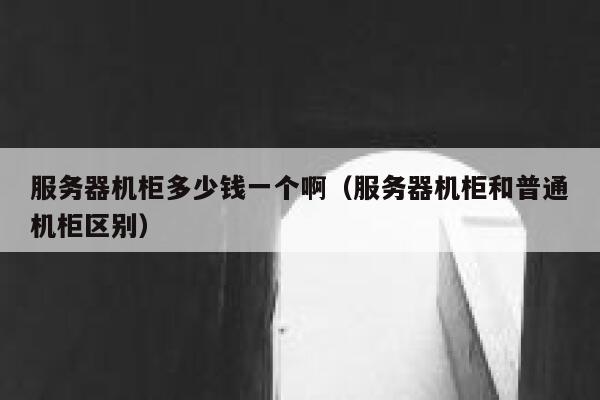 服务器机柜多少钱一个啊（服务器机柜和普通机柜区别） 第1张
