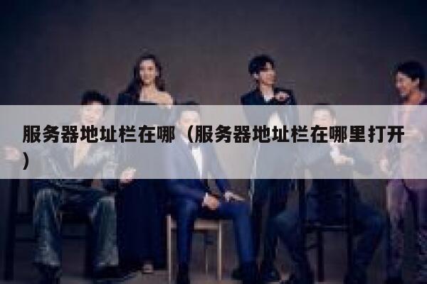 服务器地址栏在哪（服务器地址栏在哪里打开） 第1张