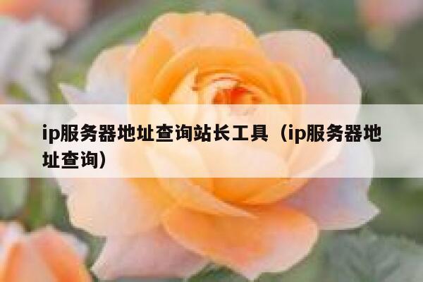 ip服务器地址查询站长工具（ip服务器地址查询） 第1张
