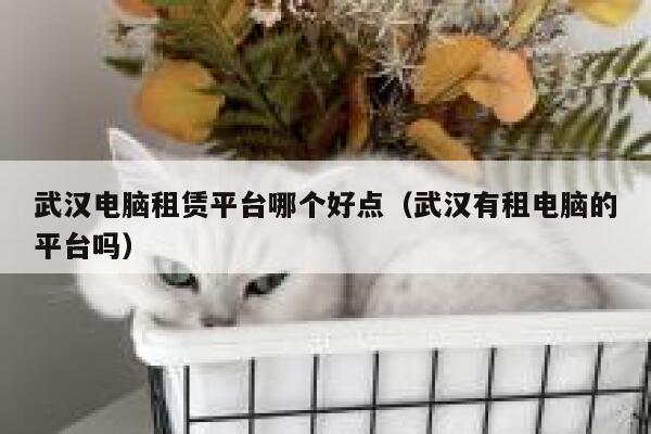 武汉电脑租赁平台哪个好点（武汉有租电脑的平台吗） 第1张