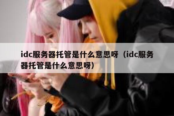 idc服务器托管是什么意思呀（idc服务器托管是什么意思呀） 第1张
