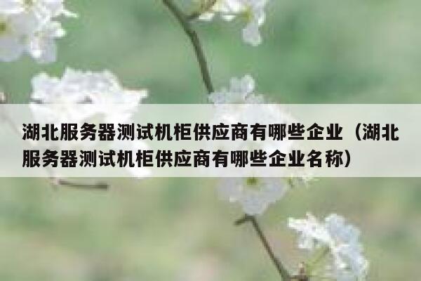 湖北服务器测试机柜供应商有哪些企业（湖北服务器测试机柜供应商有哪些企业名称） 第1张