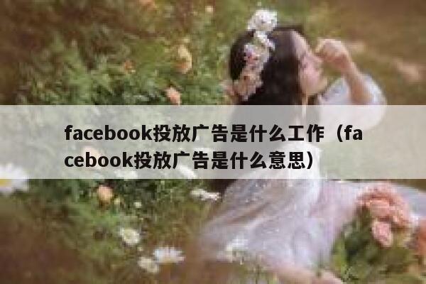 facebook投放广告是什么工作（facebook投放广告是什么意思） 第1张