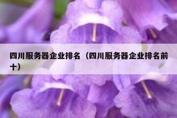 四川服务器企业排名（四川服务器企业排名前十） 第1张