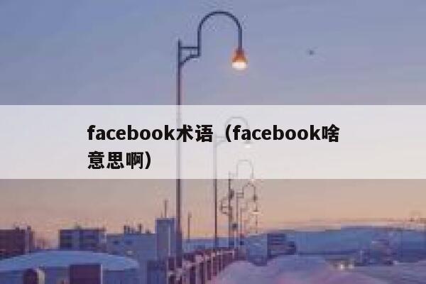 facebook术语（facebook啥意思啊） 第1张