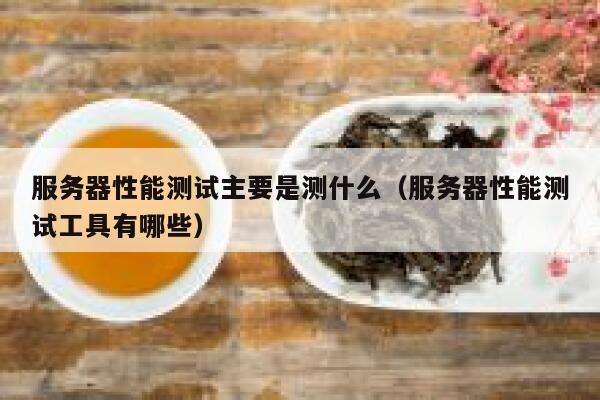 服务器性能测试主要是测什么(服务器性能测试工具有哪些) 第1张 服务器性能测试主要是测什么(服务器性能测试工具有哪些) 第1张