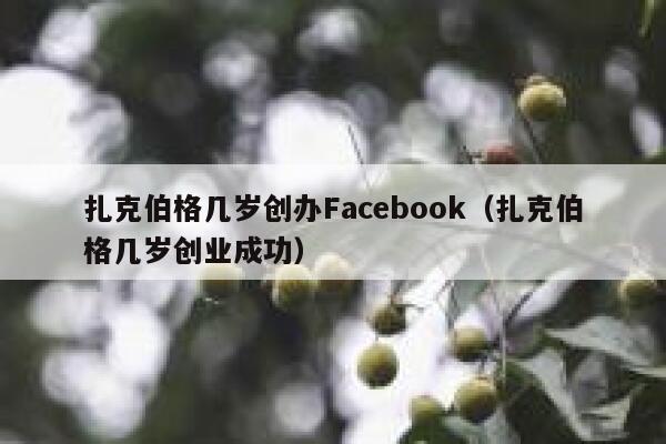 扎克伯格几岁创办Facebook(扎克伯格几岁创业成功) 第1张 扎克伯格几岁创办Facebook(扎克伯格几岁创业成功) 第1张