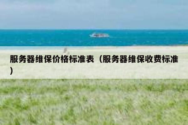 服务器维保价格标准表（服务器维保收费标准） 第1张