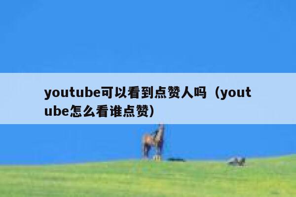 youtube可以看到点赞人吗（youtube怎么看谁点赞） 第1张