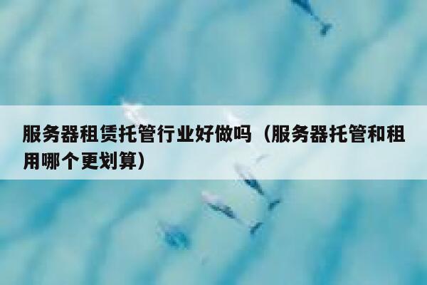 服务器租赁托管行业好做吗(服务器托管和租用哪个更划算) 第1张 服务器租赁托管行业好做吗(服务器托管和租用哪个更划算) 第1张