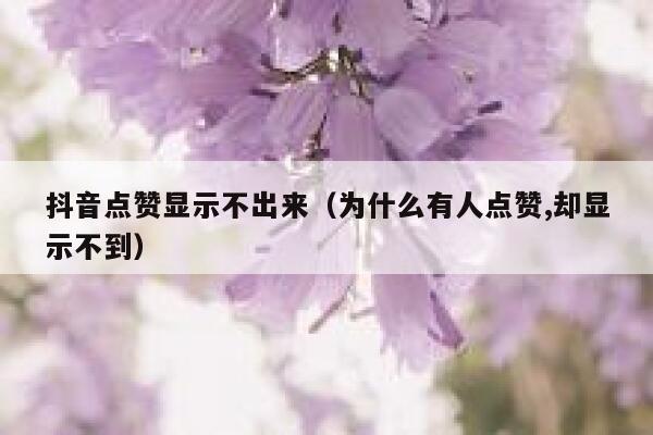 抖音点赞显示不出来(为什么有人点赞,却显示不到) 第1张 抖音点赞显示不出来(为什么有人点赞,却显示不到) 第1张