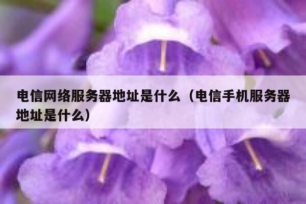 电信网络服务器地址是什么（电信手机服务器地址是什么） 第1张