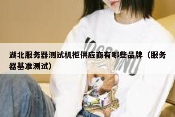 湖北服务器测试机柜供应商有哪些品牌（服务器基准测试） 第1张