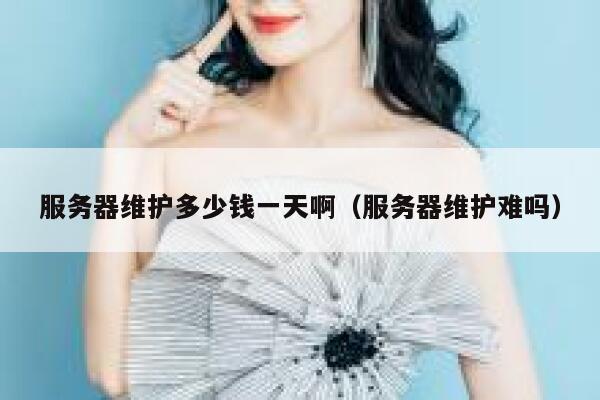 服务器维护多少钱一天啊（服务器维护难吗） 第1张