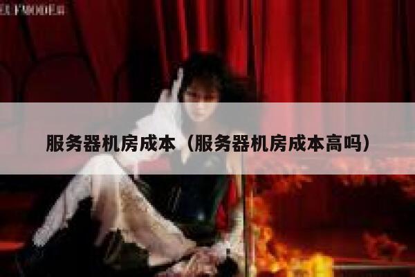 服务器机房成本（服务器机房成本高吗） 第1张