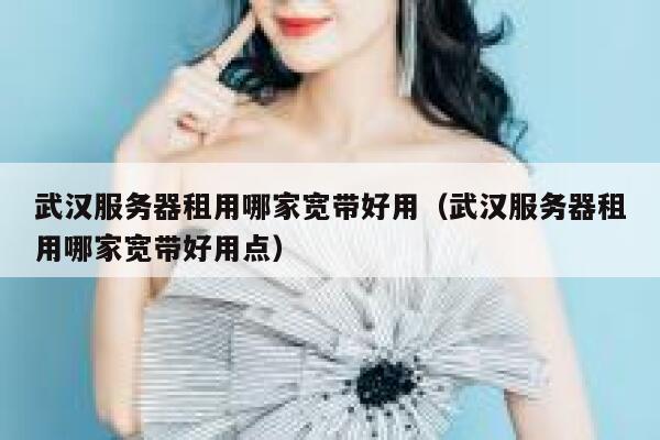 武汉服务器租用哪家宽带好用（武汉服务器租用哪家宽带好用点） 第1张