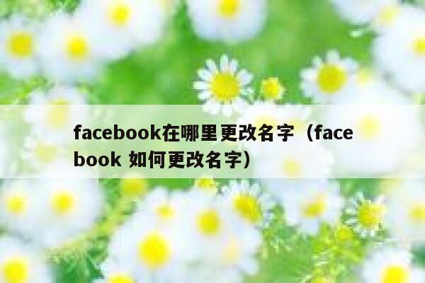facebook在哪里更改名字（facebook 如何更改名字） 第1张